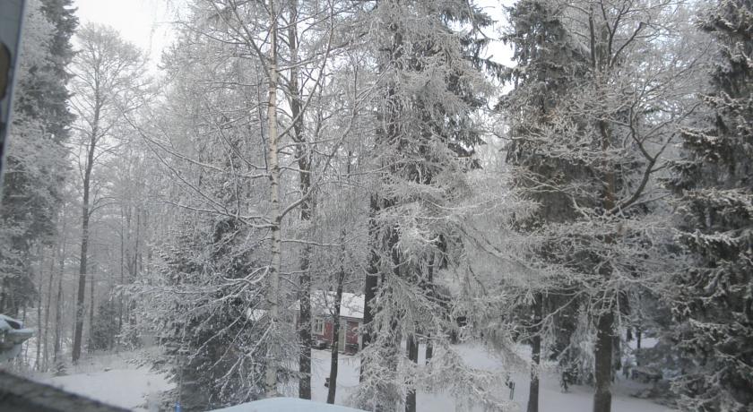 Neitsytniemen Kartano Imatra Ruang foto